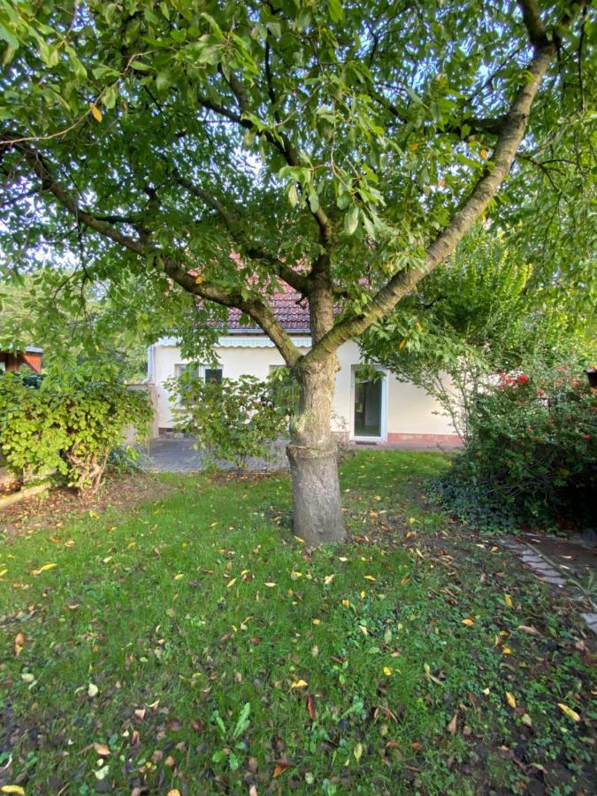 Ferienhaus Spreewald Luckau Exterior photo